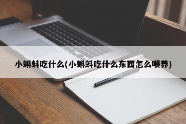 小蝌蚪吃什么(小蝌蚪吃什么东西怎么喂养)