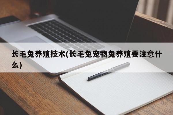 长毛兔养殖技术(长毛兔宠物兔养殖要注意什么)