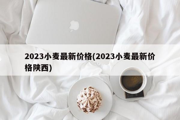 2023小麦最新价格(2023小麦最新价格陕西)