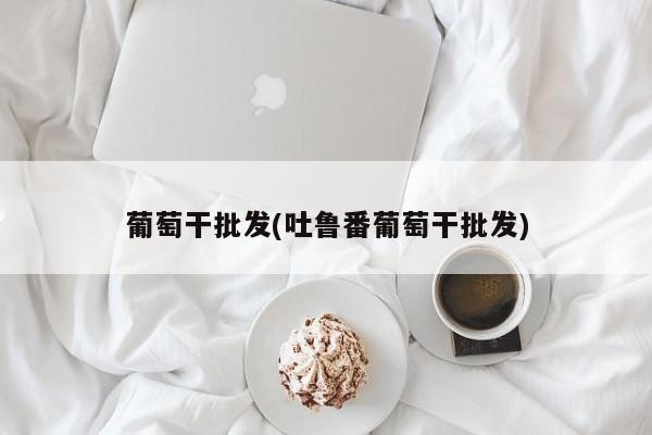 葡萄干批发(吐鲁番葡萄干批发)