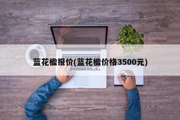 蓝花楹报价(蓝花楹价格3500元)