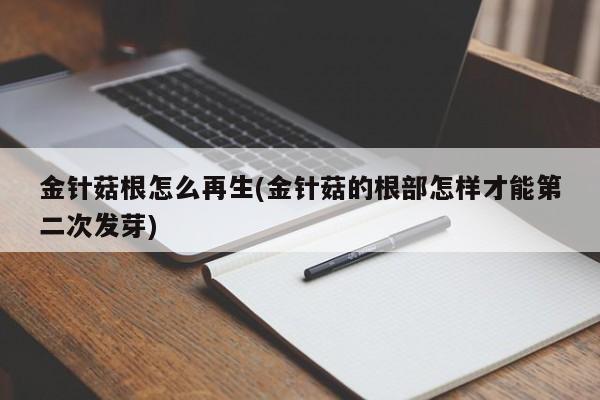 金针菇根怎么再生(金针菇的根部怎样才能第二次发芽)