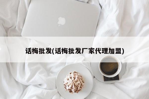 话梅批发(话梅批发厂家代理加盟)