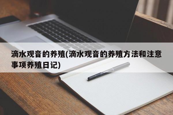 滴水观音的养殖(滴水观音的养殖方法和注意事项养殖日记)