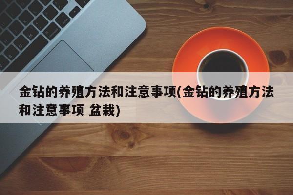 金钻的养殖方法和注意事项(金钻的养殖方法和注意事项 盆栽)